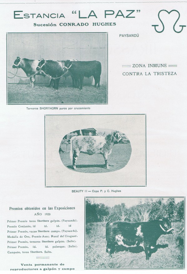 Aviso de Estancia y CabaÃ±a La Paz -  Arch. Irureta Goyena Ediciones